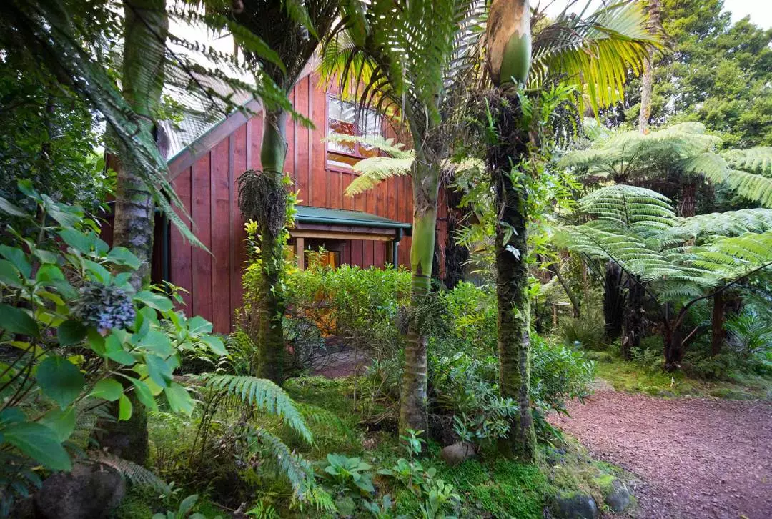 Retreat exterior framed by lush trees and ferns